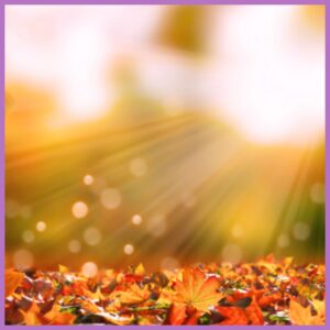 Raconte moi mon histoire en automne