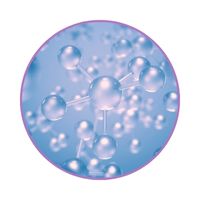 Renforcement du système immunitaire